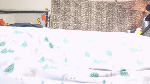 Bootyshows online show from 10/23/25, 04:17