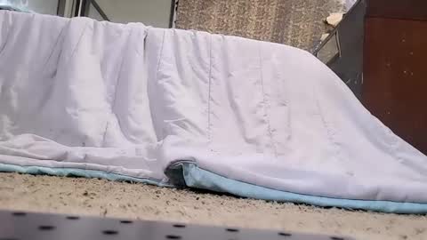 Snapshot of jamwarnerone chatting on 02/20/26, 03:45 Bootyshows online show from 02/20/26, 03:45