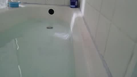 Snapshot of jamwarnerone chatting on 02/22/26, 02:48 Bootyshows online show from 02/22/26, 02:48