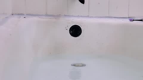 Snapshot of jamwarnerone chatting on 03/01/26, 09:17 Bootyshows online show from 03/01/26, 09:17