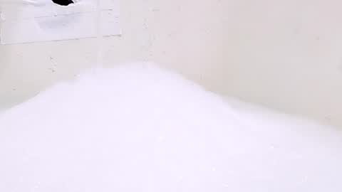 Bootyshows online show from 06/29/26, 05:46