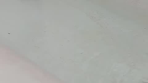Bootyshows online show from 07/25/26, 01:58