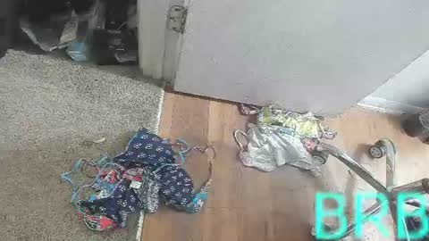 Bootyshows online show from 08/02/26, 03:54