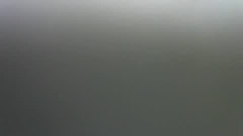 Jane online show from 11/14/25, 11:24