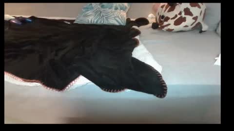 jasminandzhao online show from 07/07/26, 07:23