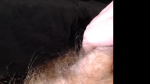 Jason online show from 12/14/24, 02:53