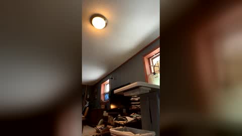 Jaws  online show from 01/17/26, 04:54