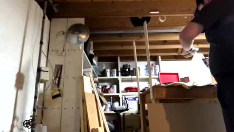 Jaws  online show from 03/17/26, 07:39