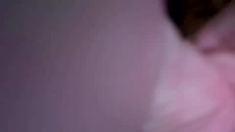 Inked and kinked online show from 12/27/24, 11:50