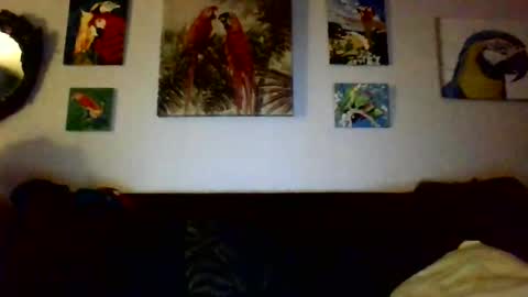 Snapshot of jay_jay1475 chatting on 12/17/24, 12:56 jay-jay1475 online show from 12/17/24, 12:56