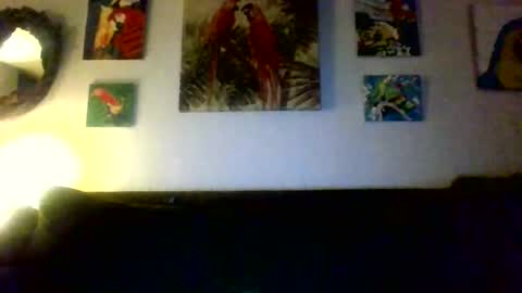 Snapshot of jay_jay1475 chatting on 12/19/24, 01:39 jay-jay1475 online show from 12/19/24, 01:39