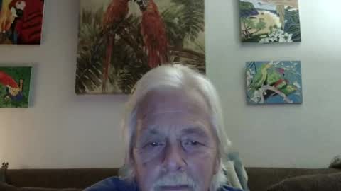 Snapshot of jay_jay1475 chatting on 12/21/24, 02:09 jay-jay1475 online show from 12/21/24, 02:09