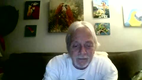 Snapshot of jay_jay1475 chatting on 12/25/24, 01:31 jay-jay1475 online show from 12/25/24, 01:31