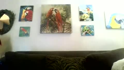 Snapshot of jay_jay1475 chatting on 12/25/24, 04:22 jay-jay1475 online show from 12/25/24, 04:22