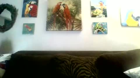 Snapshot of jay_jay1475 chatting on 12/27/24, 06:10 jay-jay1475 online show from 12/27/24, 06:10