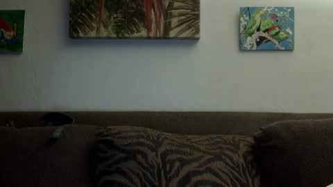 Snapshot of jay_jay1475 chatting on 01/01/25, 02:19 jay-jay1475 online show from 01/01/25, 02:19