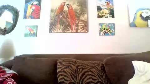 Snapshot of jay_jay1475 chatting on 01/01/25, 05:22 jay-jay1475 online show from 01/01/25, 05:22