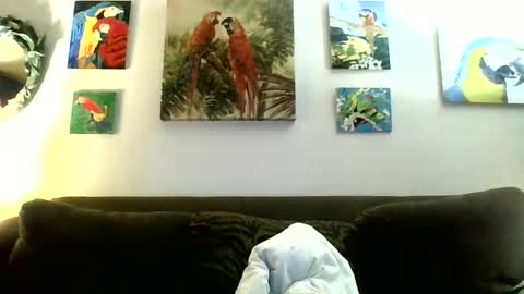 Snapshot of jay_jay1475 chatting on 01/12/25, 07:31 jay-jay1475 online show from 01/12/25, 07:31