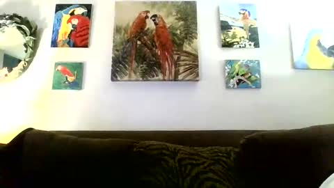 Snapshot of jay_jay1475 chatting on 01/16/25, 08:46 jay-jay1475 online show from 01/16/25, 08:46