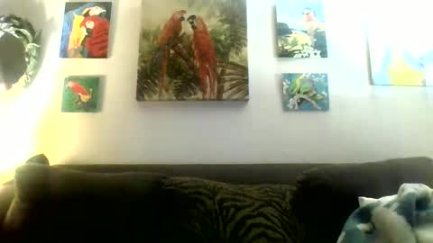 Snapshot of jay_jay1475 chatting on 01/20/25, 10:48 jay-jay1475 online show from 01/20/25, 10:48