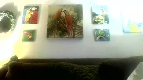 Snapshot of jay_jay1475 chatting on 01/21/25, 03:48 jay-jay1475 online show from 01/21/25, 03:48