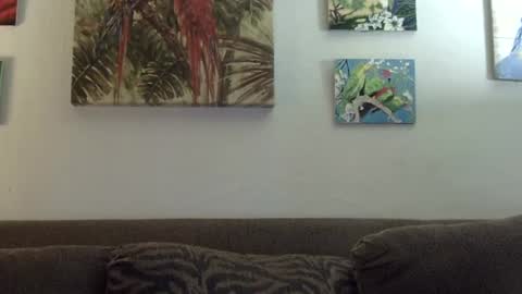 Snapshot of jay_jay1475 chatting on 01/21/25, 09:25 jay-jay1475 online show from 01/21/25, 09:25