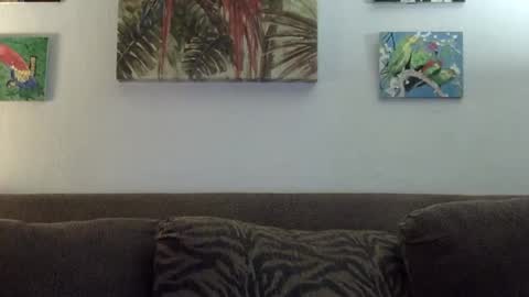 Snapshot of jay_jay1475 chatting on 01/22/25, 06:10 jay-jay1475 online show from 01/22/25, 06:10