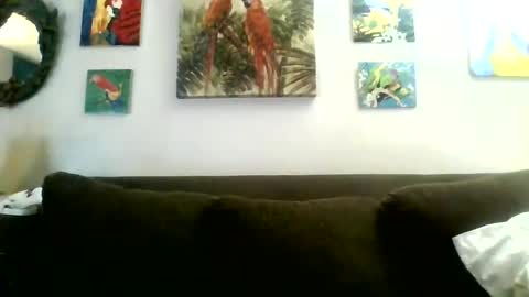 Snapshot of jay_jay1475 chatting on 01/30/25, 08:31 jay-jay1475 online show from 01/30/25, 08:31