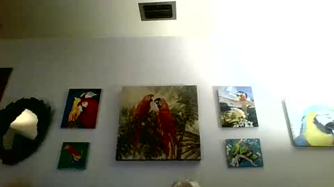 Snapshot of jay_jay1475 chatting on 01/31/25, 06:03 jay-jay1475 online show from 01/31/25, 06:03