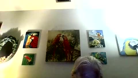 Snapshot of jay_jay1475 chatting on 02/03/25, 11:26 jay-jay1475 online show from 02/03/25, 11:26