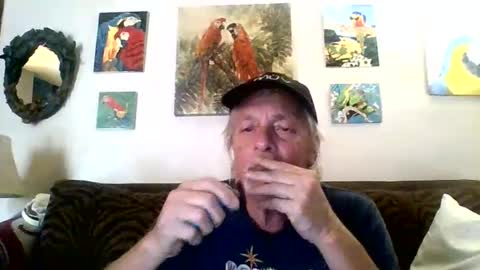 Snapshot of jay_jay1475 chatting on 02/08/25, 06:33 jay-jay1475 online show from 02/08/25, 06:33