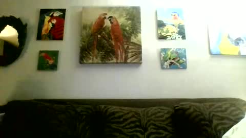 Snapshot of jay_jay1475 chatting on 02/17/25, 01:58 jay-jay1475 online show from 02/17/25, 01:58