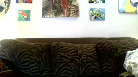 Snapshot of jay_jay1475 chatting on 03/08/25, 06:05 jay-jay1475 online show from 03/08/25, 06:05