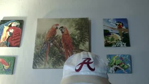 Snapshot of jay_jay1475 chatting on 03/12/25, 09:45 jay-jay1475 online show from 03/12/25, 09:45