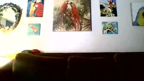 jay-jay1475 online show from 02/18/26, 06:15