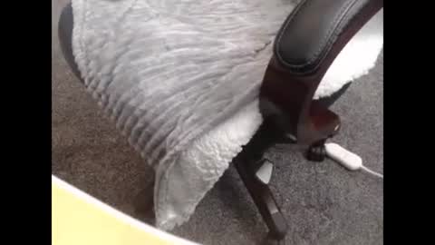 sissy gurl online show from 10/27/25, 10:14