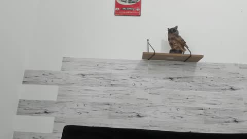 Jaycreedd online show from 02/18/25, 06:47