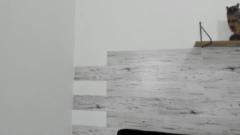 Jaycreedd online show from 02/22/25, 06:28