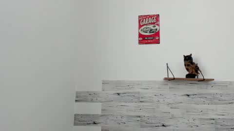 Jaycreedd online show from 03/07/25, 06:11