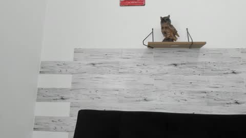 Jaycreedd online show from 09/30/25, 04:56