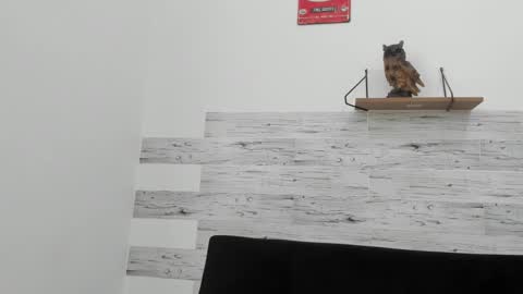 Jaycreedd online show from 11/02/25, 04:42