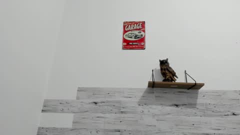 Jaycreedd online show from 11/21/25, 03:27