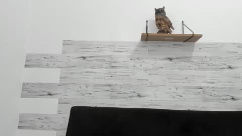 Jaycreedd online show from 11/28/25, 04:53