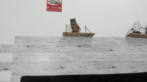 Jaycreedd online show from 03/04/26, 05:13