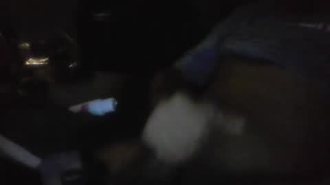 Snapshot of jaywulf22 chatting on 01/17/26, 05:23 jaywulf22 online show from 01/17/26, 05:23