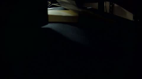 dookie online show from 03/01/25, 10:24