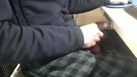 jc200000 online show from 01/29/25, 06:07