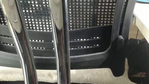 jc200000 online show from 02/17/25, 06:37