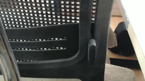 jc200000 online show from 04/16/26, 05:25