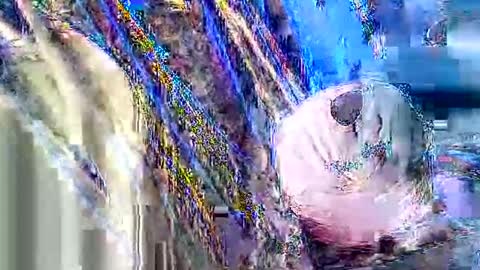 jcfoxx0920 online show from 10/03/25, 01:41